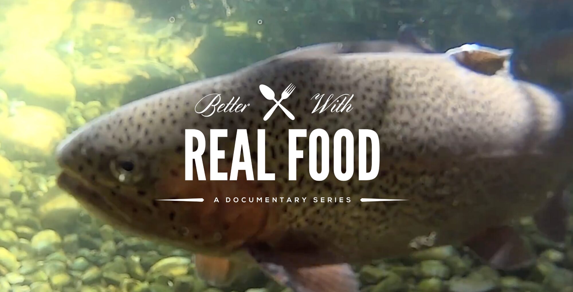 Sustainable Fish Farm