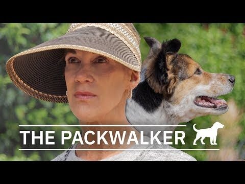 The Packwalker