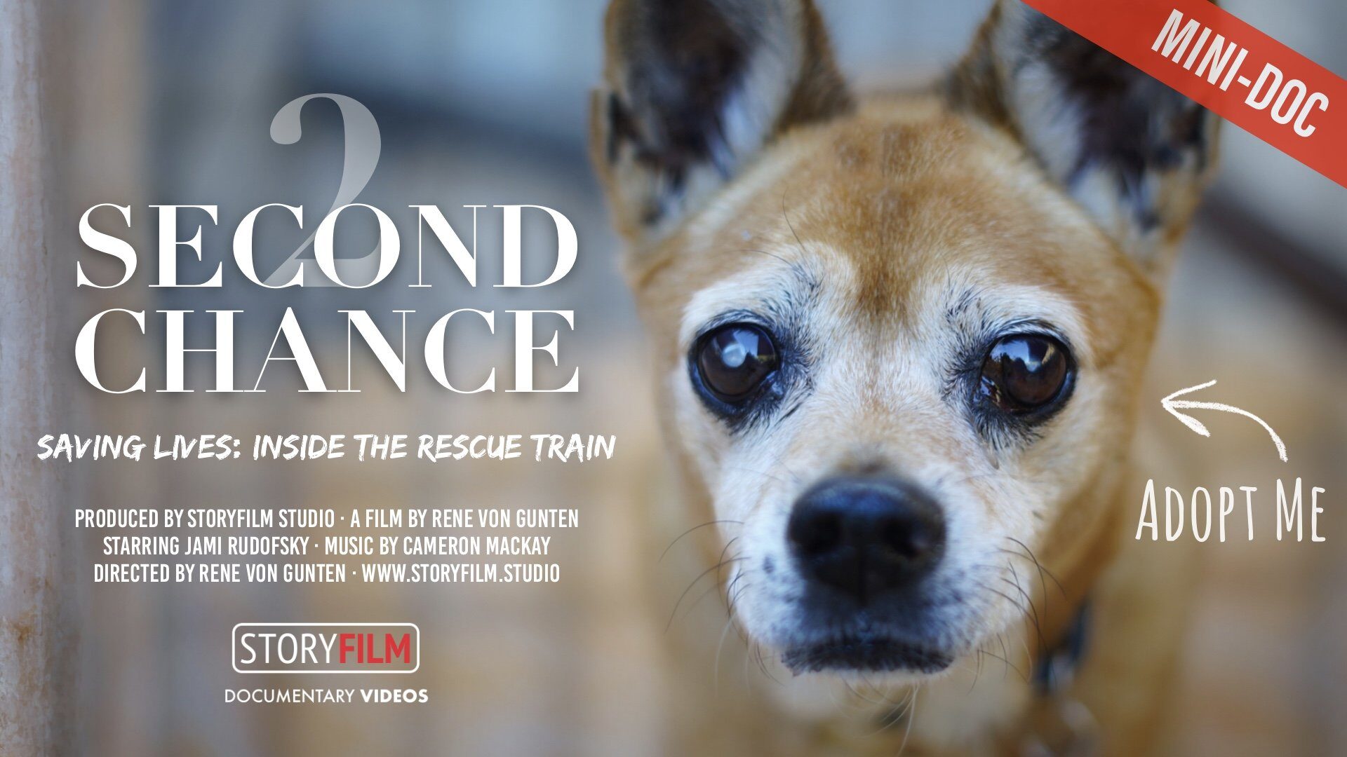 Second Chance