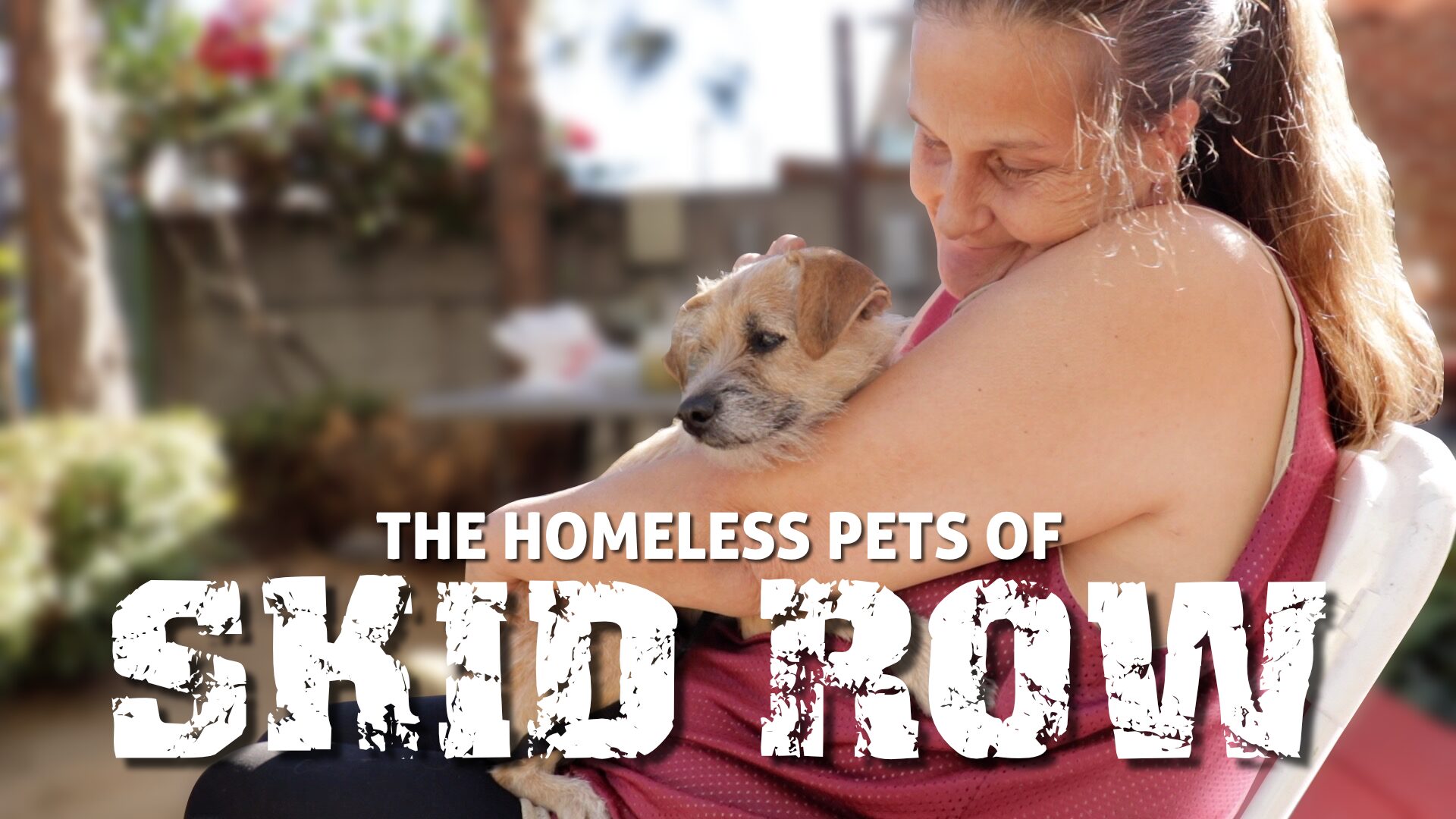 The Homeless Pets of Skid Row